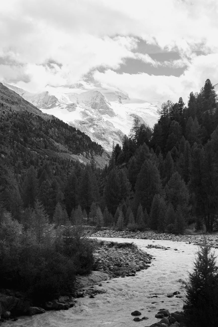 4K vs HD streaming quality comparison graphic with resolution details.