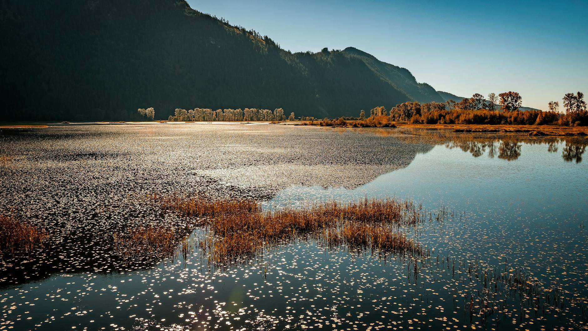Brad Pitt in a movie still, looking thoughtful.