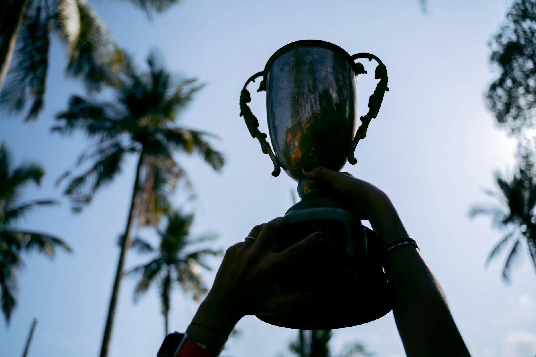 Palme d'Or winners from the Cannes Film Festival available for streaming.