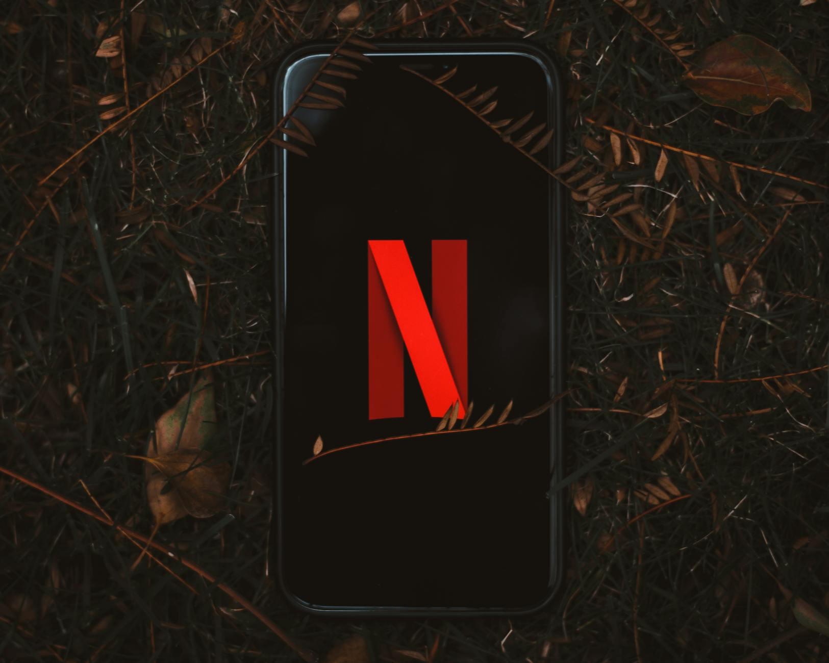 Movies leaving Netflix this month: Watch before they're gone.