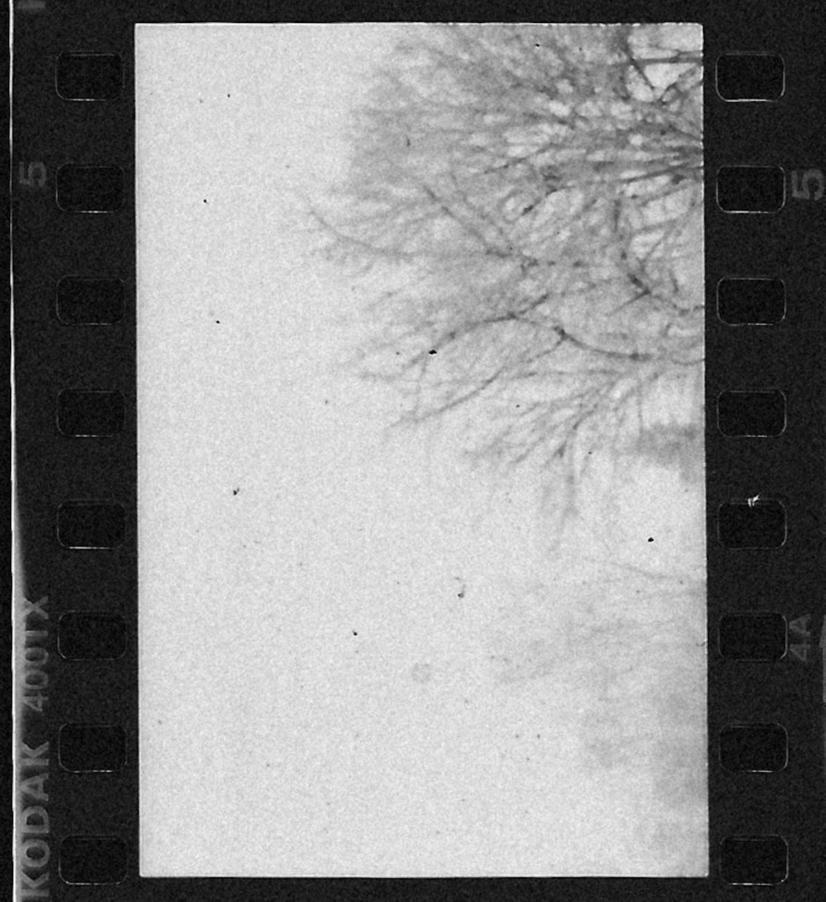 Black and white still from an early silent film with dramatic lighting.